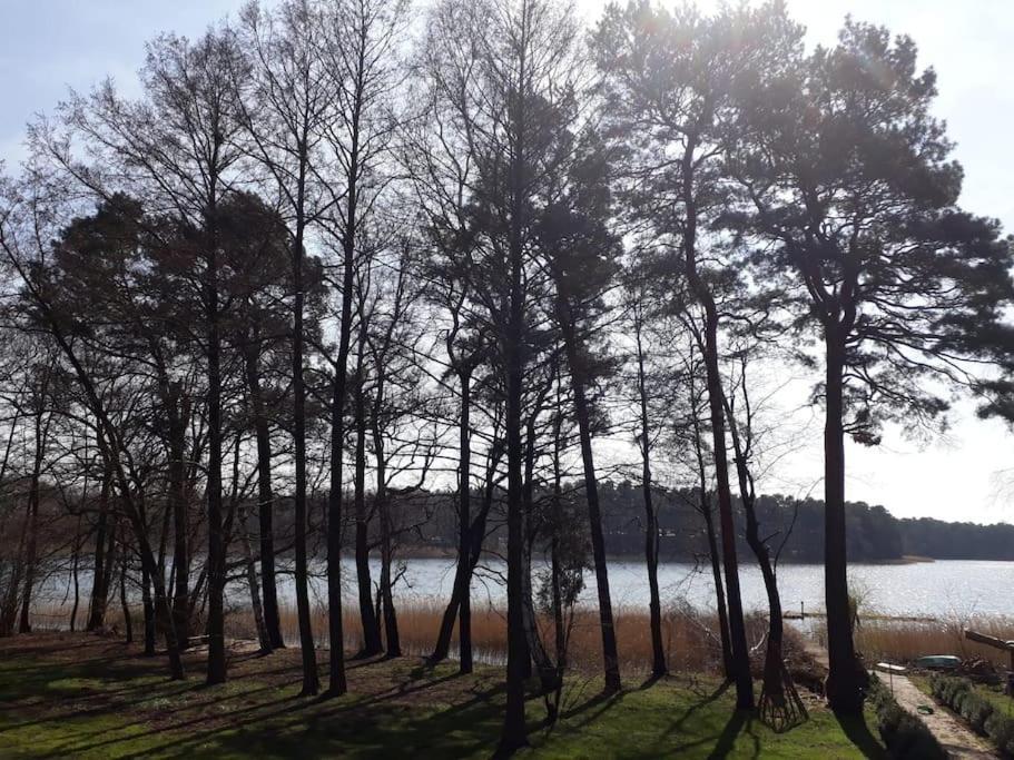 Haus Wilma Gruene Idylle Im Wald Direkt Am See Wendisch Rietz Exterior foto