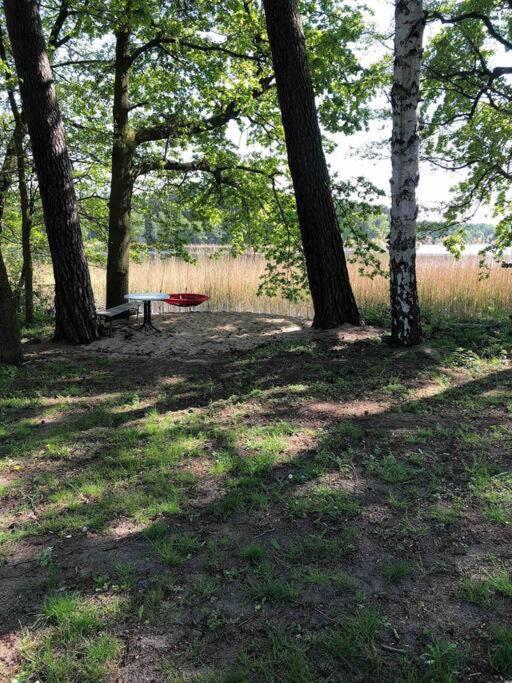 Haus Wilma Gruene Idylle Im Wald Direkt Am See Wendisch Rietz Exterior foto